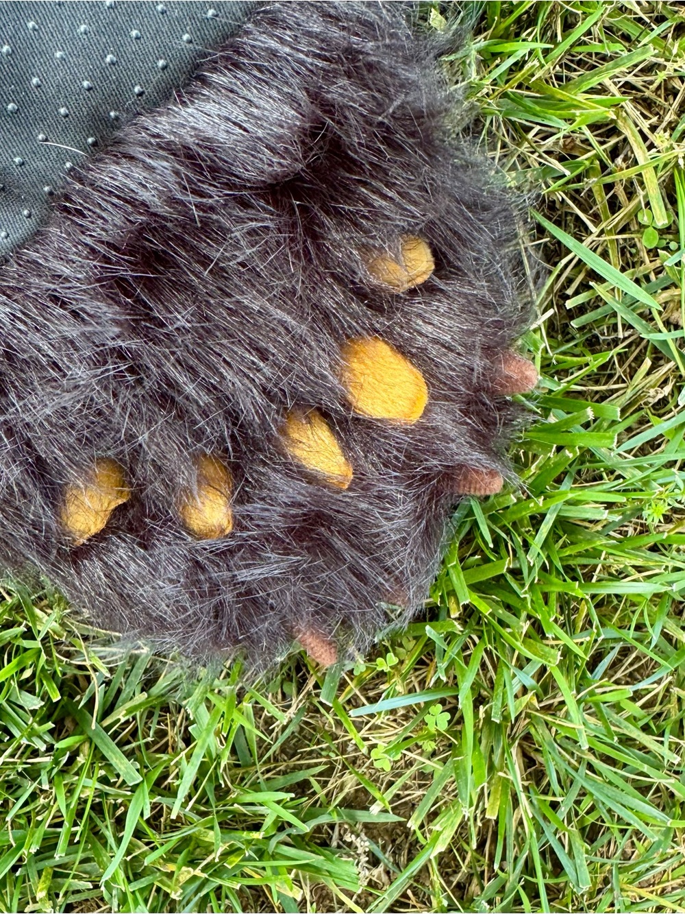 Faux Fur Black Bear Rug - Picture 4 of 5